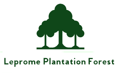 Leprome Forest Plantation