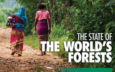 The state of the World’s Forests