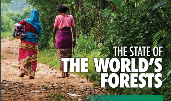 The state of the World’s Forests