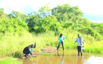 Leprome Plantation Forest survives COVID-19 lockdown, greener with the rains